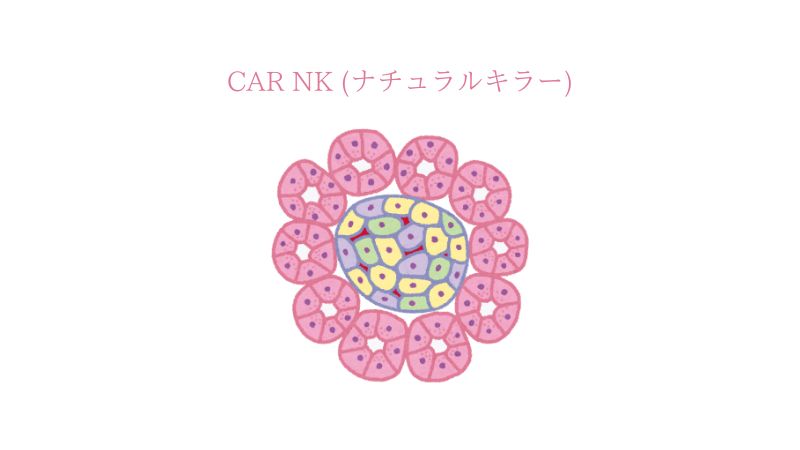 自己免疫疾患における CAR NK (ナチュラルキラー) 細胞